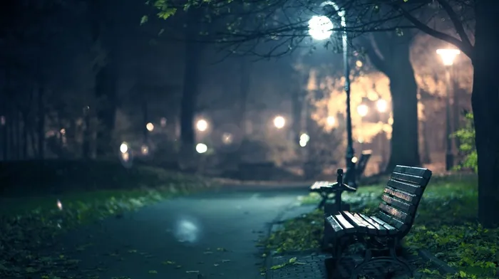 bench, nature wallpapers