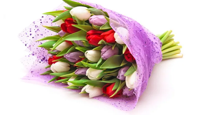 bouquet, tulips, flowers wallpapers