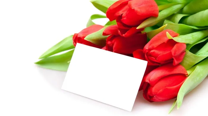flowers wallpapers
