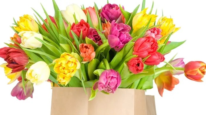 flowers wallpapers
