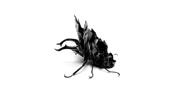 white background, insect, rock wallpapers