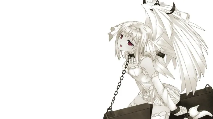 chains, white, bdsm wallpapers