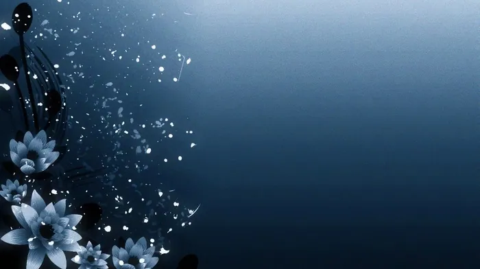 drops, gray, flowers wallpapers