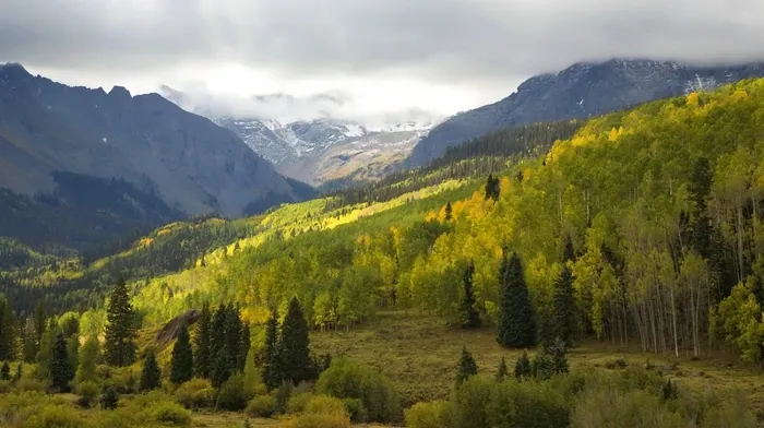 nature wallpapers