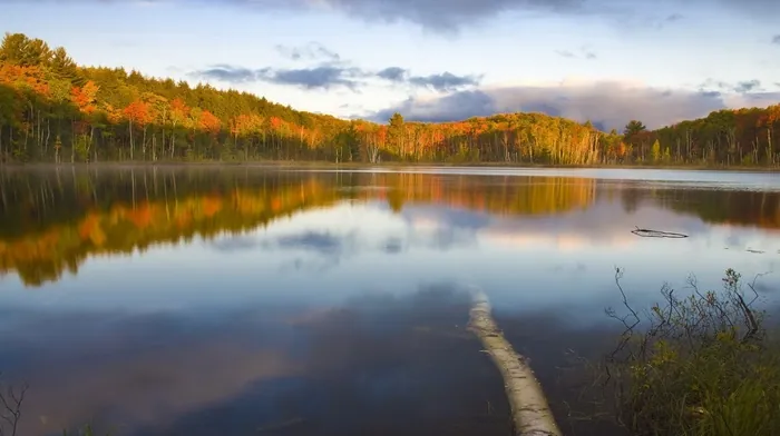 nature wallpapers