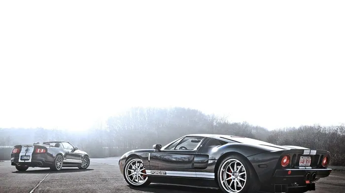ford gt, car wallpapers