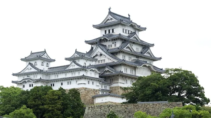 cities, japan, trees wallpapers