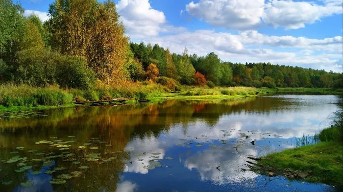 river, trees, nature wallpapers