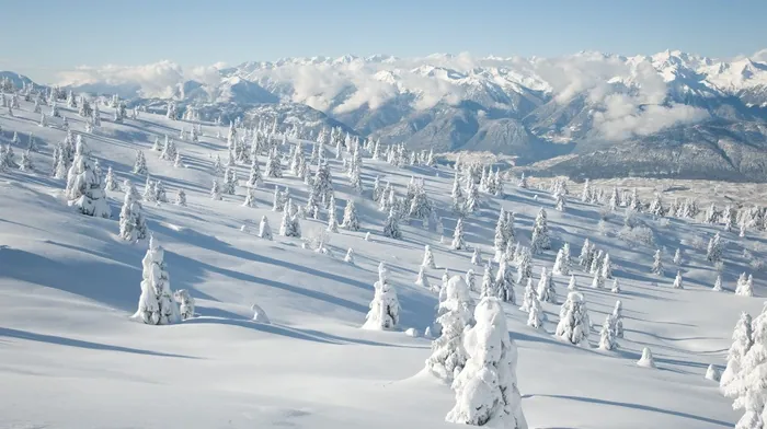 winter wallpapers