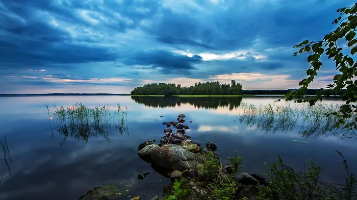 island, nature, trees wallpapers