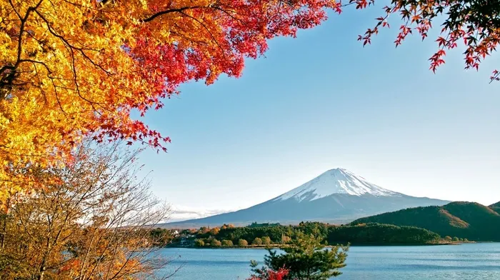 autumn, mountain, trees wallpapers