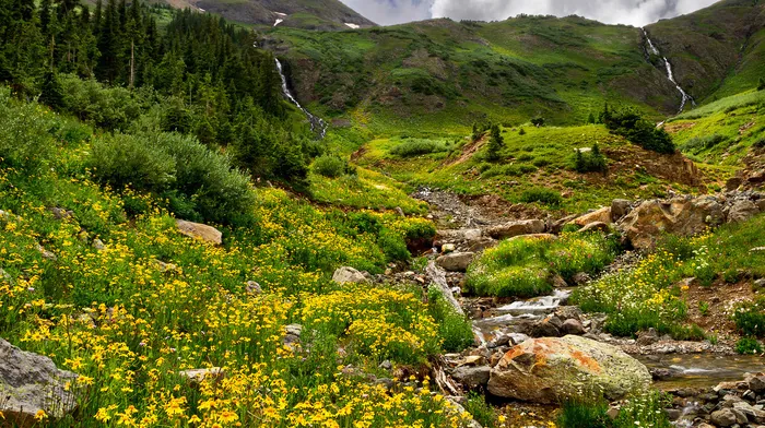flowers, creek, mountain wallpapers