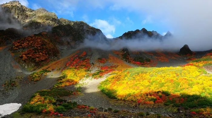 landscape wallpapers